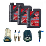 Kit Afinamiento Full/650 20.000 Km. 3L