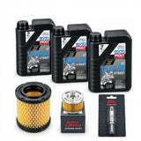 Kit Mantención 3L 350.