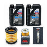 Kit C/Aceite 350 2L + 2F + B