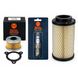 Kit 2 Filtros 411 + Bujia  Himalayan