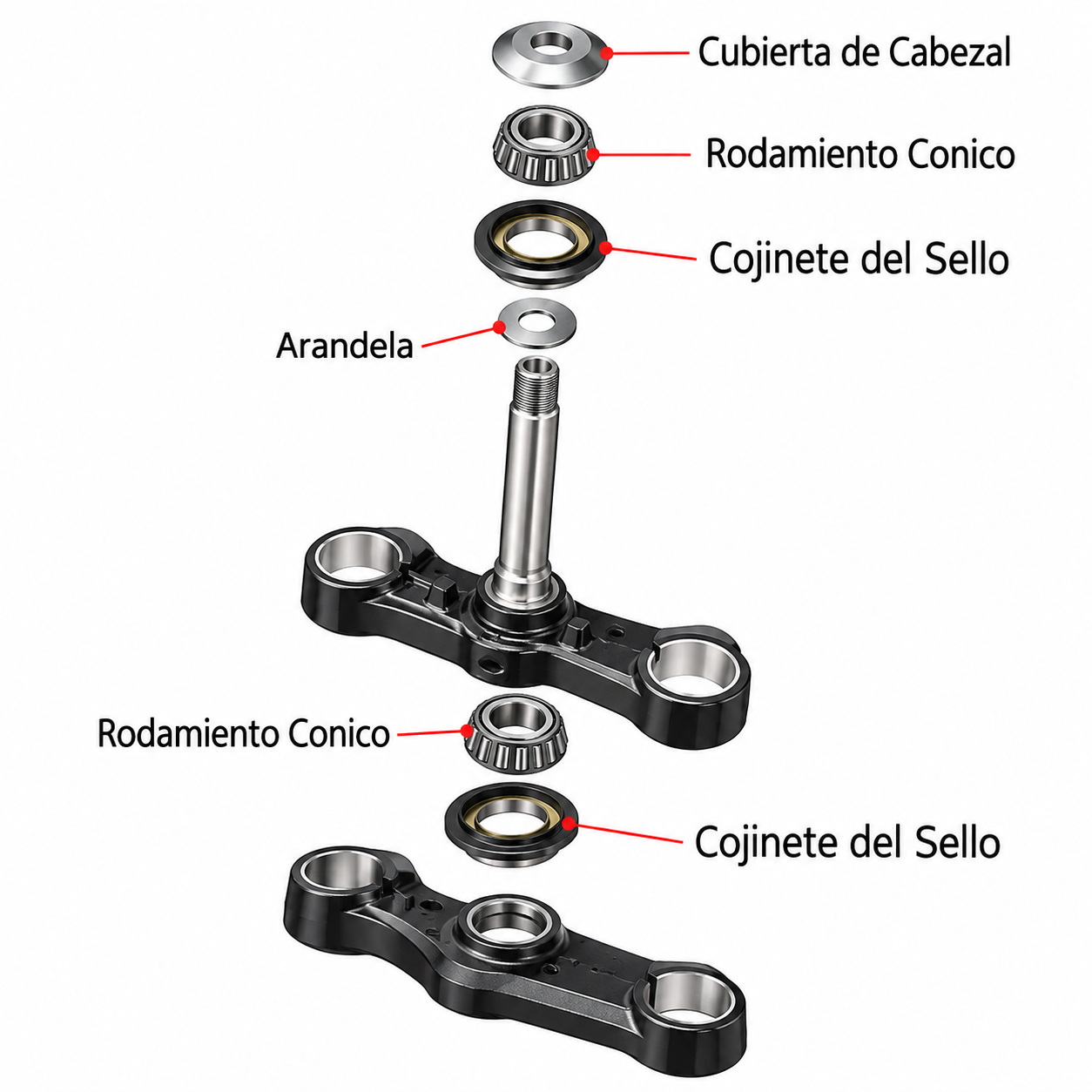 Imagen de diapositiva