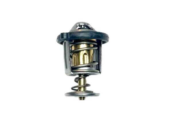 Termostato paso de Agua Royal Enfield Himalayan Mantención