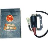 Bobina Alta 411 Royal Enfield Himalayan Repuestos